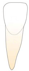 埼玉審美インプラントセンター・天然歯2